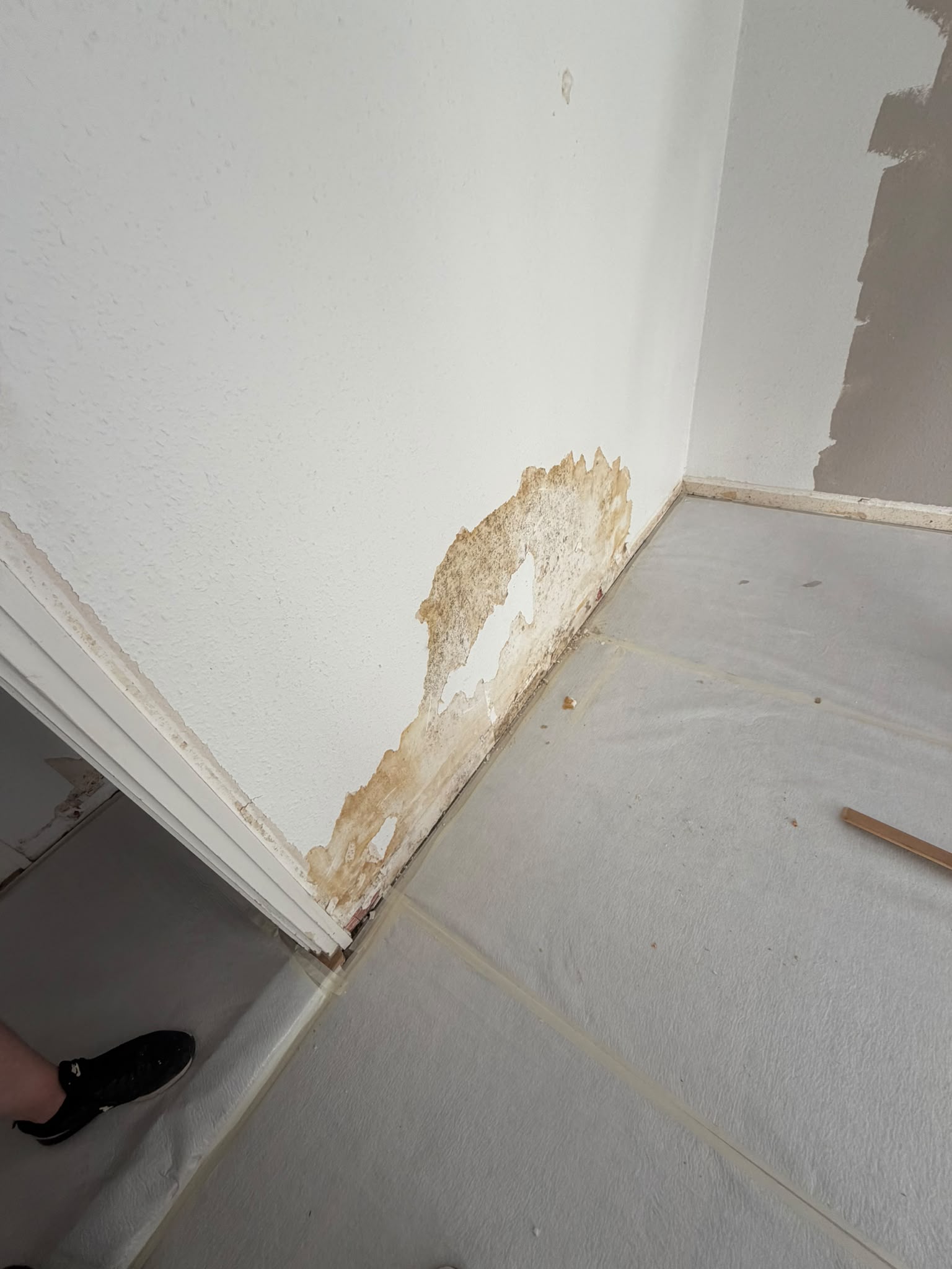 Avant : traces d’humidité et peinture écaillée dans un angle, support à assainir avant la remise en peinture